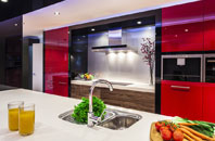 Birdsmoorgate kitchen extensions